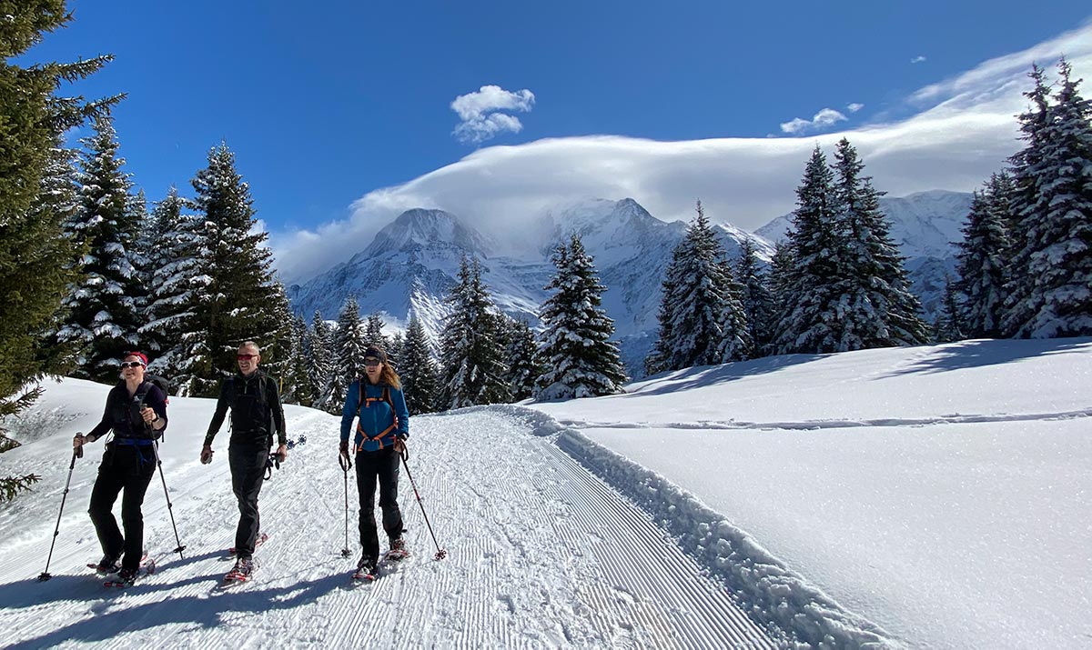 Trail running, trekking, wild camping & snowshoeing trips guided by International Mountain Leaders from our base in Chamonix Mont-Blanc
